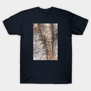 Red & Grey Volcanic Seaside Surface - Alternative T-Shirt